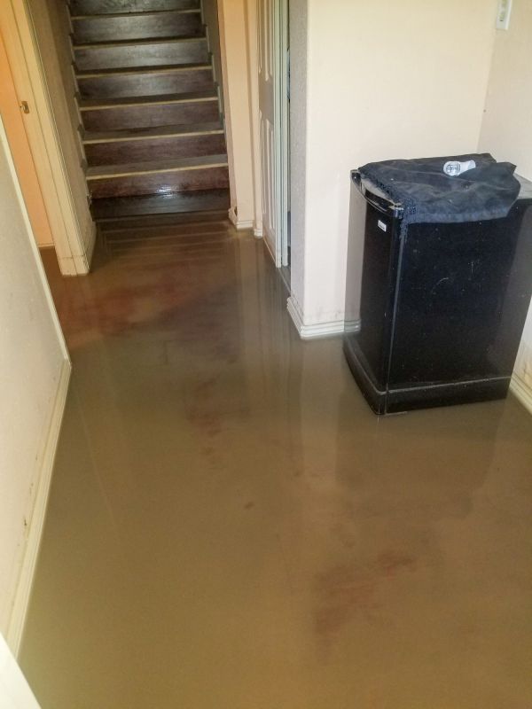 Emergency Water Removal in Phoenix, AZ