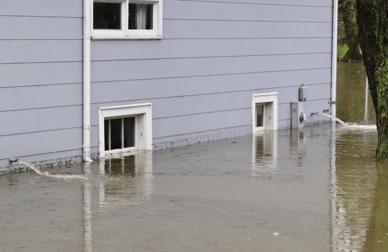Flood Cleanup Service in Mesa, AZ
