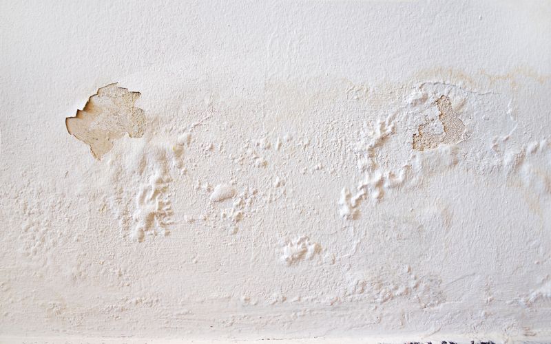 Water Damage Repair in Phoenix, AZ