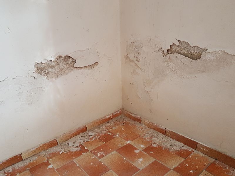 Water Damage Repair in Mesa, AZ